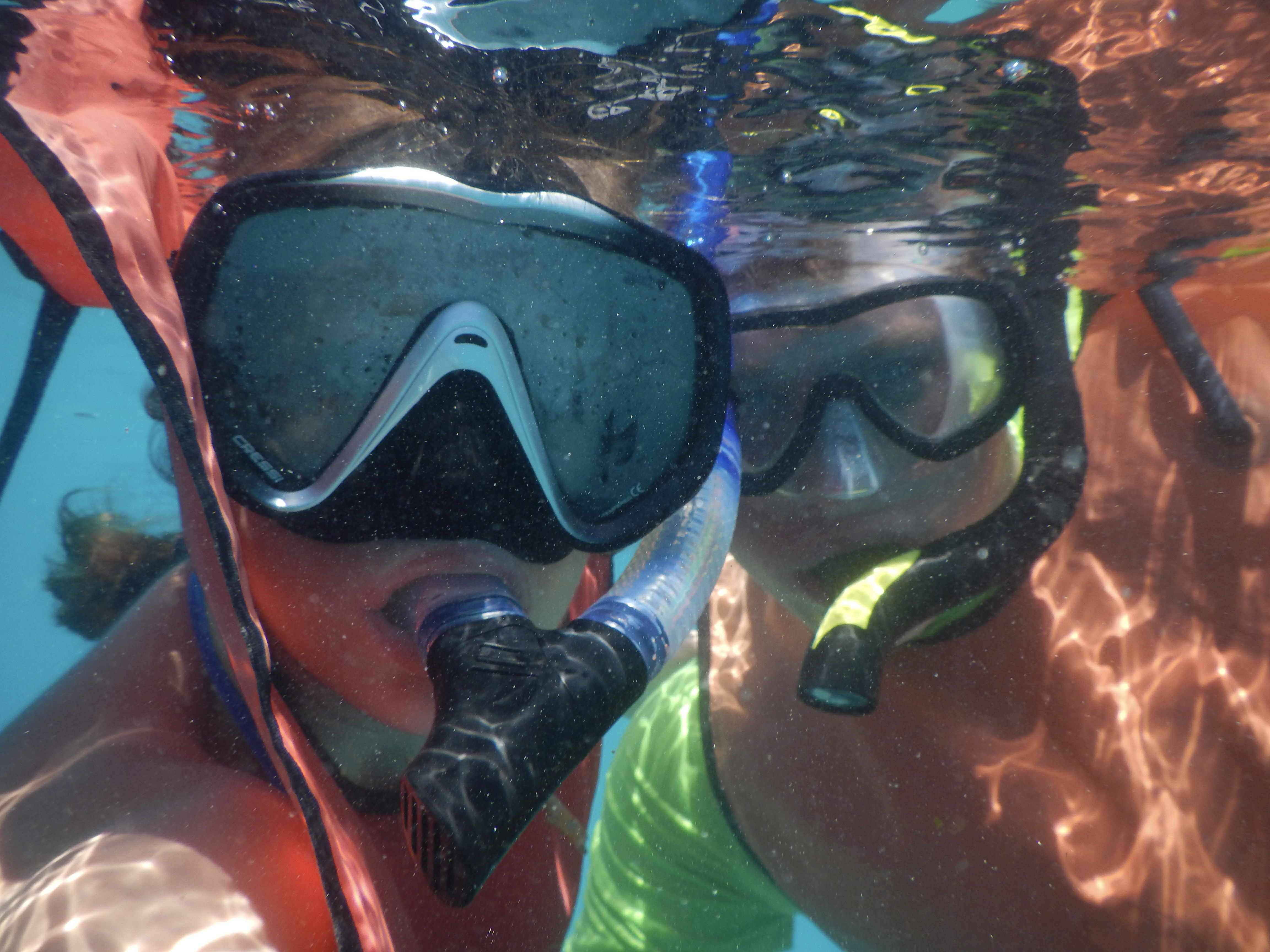 What to expect on Marine Biology 2022!