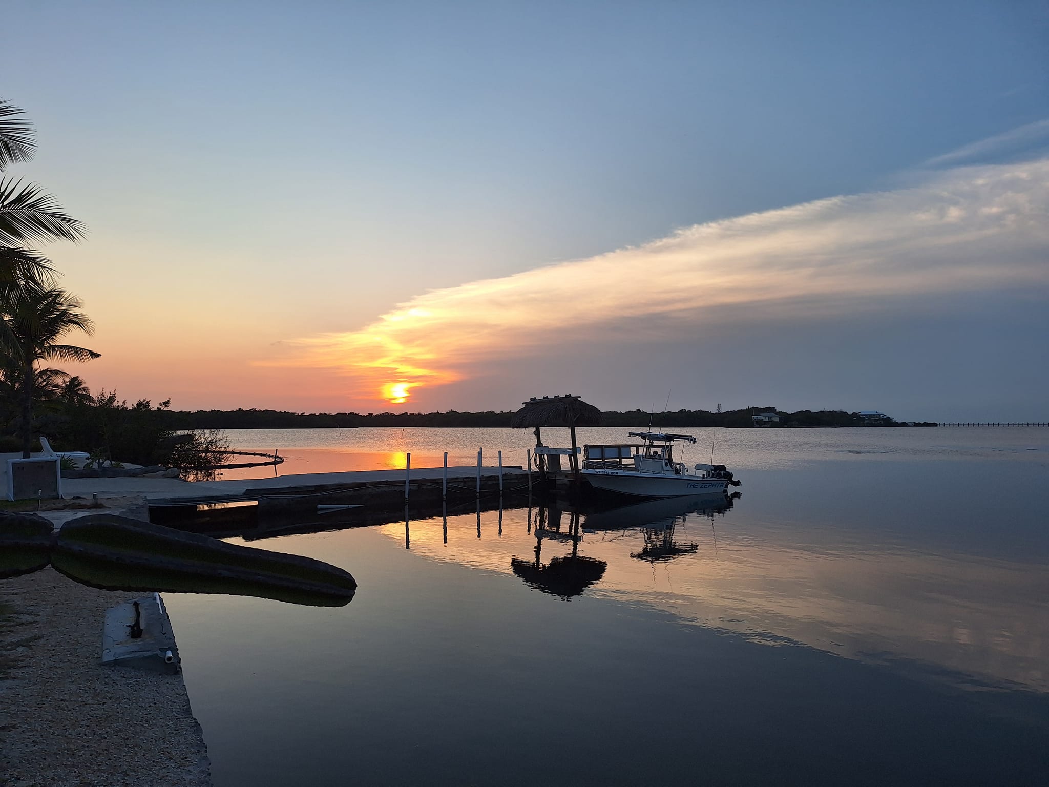 2024 Marine Biology Trip Diary: Welcome to the Florida Keys!